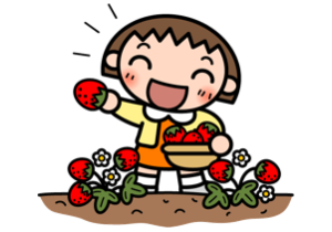 いちご狩り 社福 大垣和敬会わかたけ保育園 いちご狩り 社福 大垣和敬会わかたけ保育園